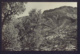 image 01