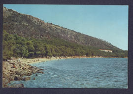 image 01