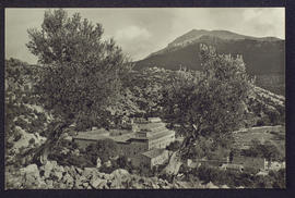 image 01