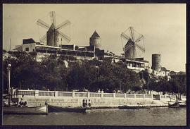 image 01