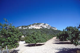 Puig de Sant Nofre