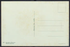 image 02