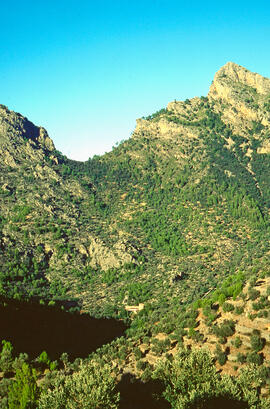 Serra de Tramuntana, coll