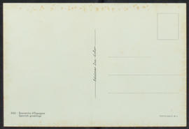 image 02
