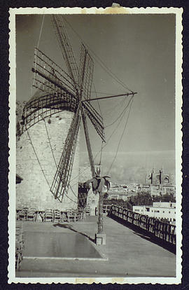 image 01