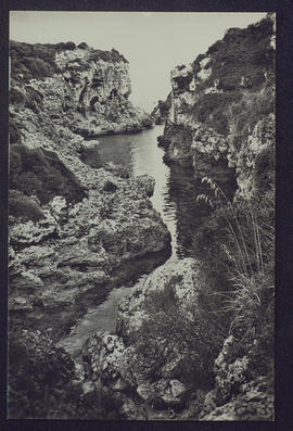 image 01