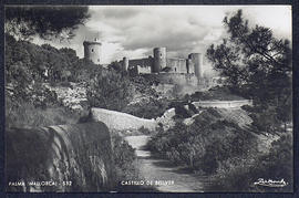 image 01