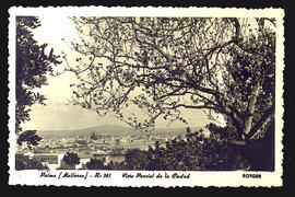 image 01