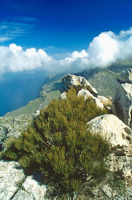 Penya-segats a la serra de Tramuntana
