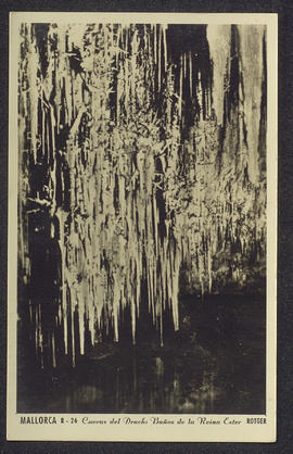 image 01