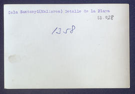image 02