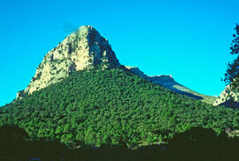Serra de Tramuntana. Puig del Frontó al camí del Massanella