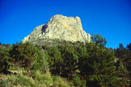 Serra de Tramuntana. Capcurucull  del puig del Frontó camí del Massanella