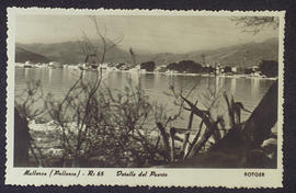 image 01