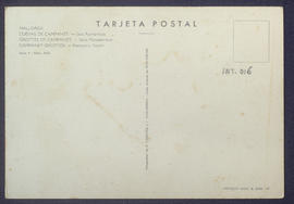image 02
