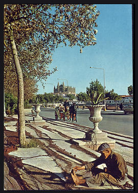 image 01