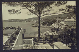 image 01