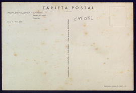 image 02
