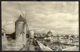 image 01