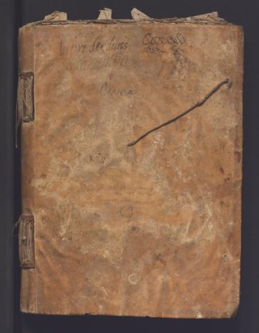 Open original Objecte digital