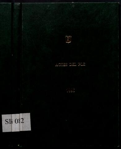 Open original Objecte digital