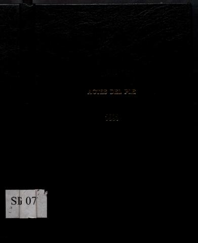 Open original Objecte digital