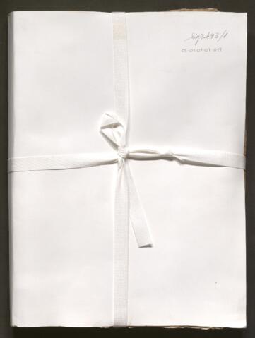 Open original Objecte digital