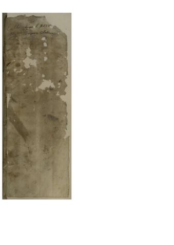 Open original Objecte digital