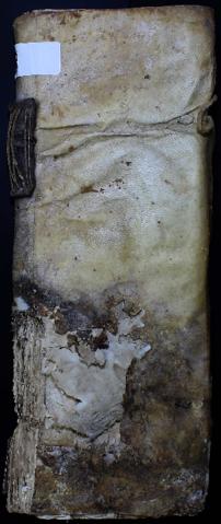 Open original Objecte digital