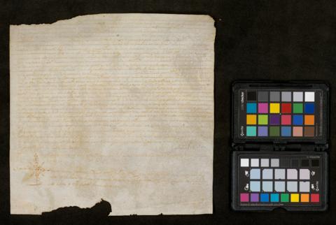 Open original Objecte digital